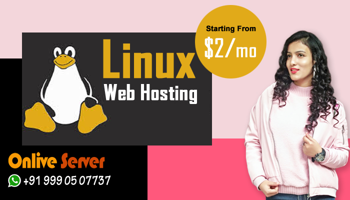 How does Linux VPS hosting benefits your online business?