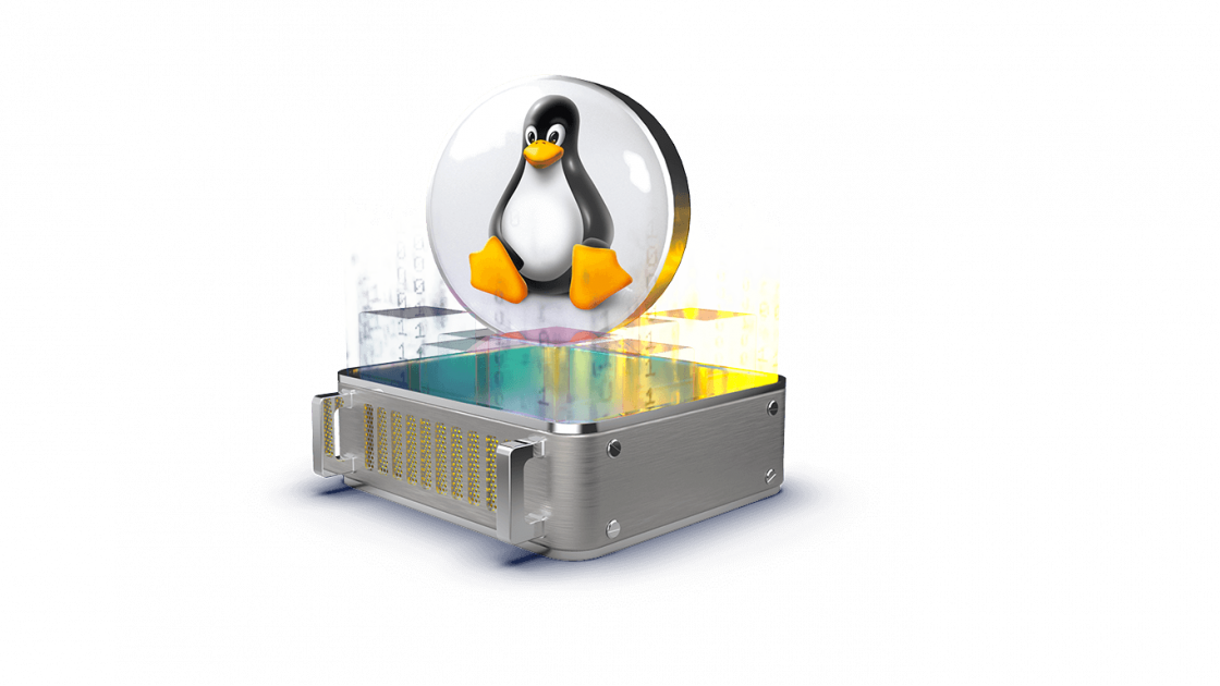 Linux Dedicated Server