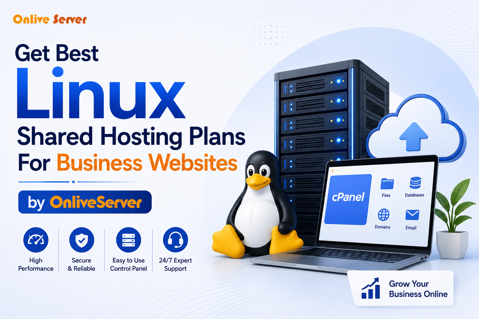 Linux Shared Hosting